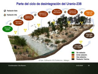 19-03-2025
Coordenadora : Ana Barreto 56
 