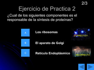 Ejercicio de Practica 2 A B C Los ribosomas El aparato de Golgi Retículo Endoplásmico ¿Cual de los siguientes componentes es el responsable de la síntesis de proteínas? 2/3 