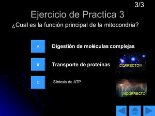 Ejercicio de Practica 3 A B C Transporte de proteínas Síntesis de ATP  ¿Cual es la función principal de la mitocondria? Digestión de moléculas complejas 3/3 
