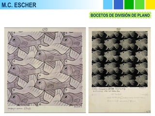 M.C. ESCHER
BOCETOS DE DIVISIÓN DE PLANO
 