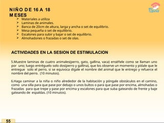  Materiales a utiliza
 Laminas de animales.
 Banca de 20cm de altura, larga y ancha o set de equilibrio.
 Mesa pequeña o set de equilibrio.
 Escalones para subir y bajar o set de equilibrio.
 Almohadones o frazadas o set de olas.
ACTIVIDADES EN LA SESION DE ESTIMULACION
5.Muestre laminas de cuatro animales(perro, gato, gallina, vaca) enséñele como se llaman uno
por uno; luego entréguelo solo dos(perro y gallina), que los observe un momento y pídale que le
entregue solo el perro, si se equivoca dígale el nombre del animal que le entrego y refuerce el
nombre del perro. (10 minutos).
6.Haga caminar a la niña o niño alrededor de la habitación y póngale obstáculos en el camino,
como una silla para que pase por debajo o unos bultos o para que pase por encima, almohadas o
frazadas para que trepe y pase por encima y escalones para que suba gateando de frente y baje
gateando de espaldas. (10 minutos).
55
N IÑ O D E 16 A 18
M ESES
 