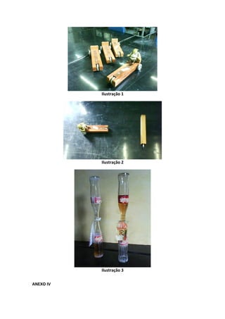 Ilustração 1




           Ilustração 2




           Ilustração 3


ANEXO IV
 