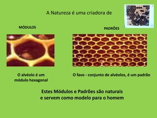 A Natureza é uma criadora de

  MÓDULOS                                 PADRÕES




 O alvéolo é um           O favo - conjunto de alvéolos, é um padrão
módulo hexagonal

            Estes Módulos e Padrões são naturais
            e servem como modelo para o homem
 