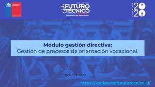 Módulo gestión directiva:
Gestión de procesos de orientación vocacional.
Octubre 2020
 
