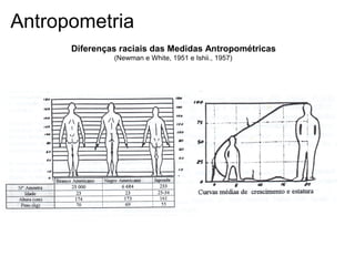 Antropometria
Diferenças raciais das Medidas Antropométricas
(Newman e White, 1951 e Ishii., 1957)
 