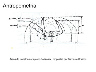 Antropometria
Áreas de trabalho num plano horizontal, propostas por Barnes e Squires
 