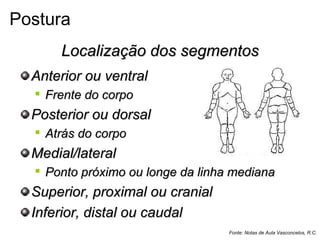 Localização dos segmentosLocalização dos segmentos
Anterior ou ventralAnterior ou ventral

Frente do corpoFrente do corpo
Posterior ou dorsalPosterior ou dorsal

Atrás do corpoAtrás do corpo
Medial/lateralMedial/lateral

Ponto próximo ou longe da linha medianaPonto próximo ou longe da linha mediana
Superior, proximal ou cranialSuperior, proximal ou cranial
Inferior, distal ou caudalInferior, distal ou caudal
Fonte: Notas de Aula Vasconcelos, R.C.
Postura
 