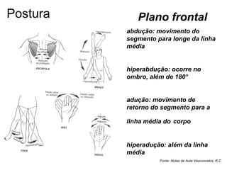 Plano frontal
abdução: movimento do
segmento para longe da linha
média
hiperabdução: ocorre no
ombro, além de 180°
adução: movimento de
retorno do segmento para a
linha média do corpo
hiperadução: além da linha
média
Fonte: Notas de Aula Vasconcelos, R.C.
Postura
 