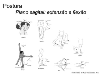Plano sagital: extensão e flexão
Fonte: Notas de Aula Vasconcelos, R.C.
Postura
 