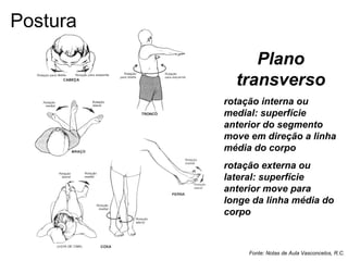 Plano
transverso
rotação interna ou
medial: superfície
anterior do segmento
move em direção a linha
média do corpo
rotação externa ou
lateral: superfície
anterior move para
longe da linha média do
corpo
Fonte: Notas de Aula Vasconcelos, R.C.
Postura
 