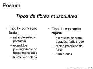 Tipos de fibras musculares
• Tipo I - contração
lenta
– músculo sóleo e
posturais
– exercícios
prolongados e de
baixa intensidade
– fibras vermelhas
• Tipo II - contração
rápida
– exercícios de curta
duração, fadiga logo
– rápida produção de
força
– fibra branca
Fonte: Notas de Aula Vasconcelos, R.C.
Postura
 