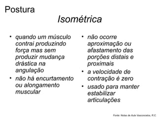 Isométrica
• quando um músculo
contrai produzindo
força mas sem
produzir mudança
drástica na
angulação
• não há encurtamento
ou alongamento
muscular
• não ocorre
aproximação ou
afastamento das
porções distais e
proximais
• a velocidade de
contração é zero
• usado para manter
estabilizar
articulações
Fonte: Notas de Aula Vasconcelos, R.C.
Postura
 