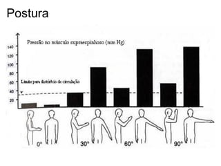 Postura
 