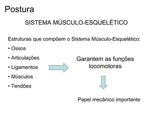 SISTEMA MÚSCULO-ESQUELÉTICO
Estruturas que compõem o Sistema Músculo-Esquelético:
• Ossos
• Articulações
• Ligamentos
• Músculos
• Tendões
Garantem as funções
locomotoras
Papel mecânico importante
Postura
 