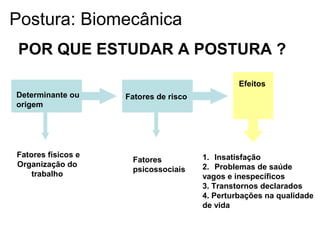 Fatores físicos e
Organização do
trabalho
Efeitos
Determinante ou
origem
Fatores de risco
Fatores
psicossociais
1. Insatisfação
2. Problemas de saúde
vagos e inespecíficos
3. Transtornos declarados
4. Perturbações na qualidade
de vida
POR QUE ESTUDAR A POSTURA ?
Postura: Biomecânica
 