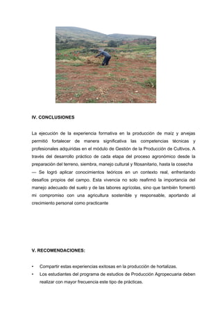 IV. CONCLUSIONES
La ejecución de la experiencia formativa en la producción de maíz y arvejas
permitió fortalecer de manera significativa las competencias técnicas y
profesionales adquiridas en el módulo de Gestión de la Producción de Cultivos. A
través del desarrollo práctico de cada etapa del proceso agronómico desde la
preparación del terreno, siembra, manejo cultural y fitosanitario, hasta la cosecha
— Se logró aplicar conocimientos teóricos en un contexto real, enfrentando
desafíos propios del campo. Esta vivencia no solo reafirmó la importancia del
manejo adecuado del suelo y de las labores agrícolas, sino que también fomentó
mi compromiso con una agricultura sostenible y responsable, aportando al
crecimiento personal como practicante
V. RECOMENDACIONES:
• Compartir estas experiencias exitosas en la producción de hortalizas.
• Los estudiantes del programa de estudios de Producción Agropecuaria deben
realizar con mayor frecuencia este tipo de prácticas.
 