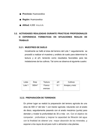 ● Provincia: Huancavelica
● Región: Huancavelica
● Altitud: 4,000 m.s.n.m.
3.2. ACTIVIDADES REALIZADAS DURANTE PRACTICAS PROFESIONALES
O EXPERIENCIA FORMATIVAS EN SITUACIONES REALES DE
TRABAJO
3.2.1. MUESTREO DE SUELO
Inicialmente se halló el área del terreno del Lote 1 seguidamente se
procedió a realizar el muestreo y análisis de suelo para determinar la
textura y el pH, teniendo como resultados favorables para las
instalaciones de los cultivos. Tal como se observa el siguiente cuadro:
Lotes Área Textura pH Cultivos
Lote 1 500m² Franco
arenoso
6.1 Arvejas y maíz
3.2.2. PREPARACIÓN DE TERRENOS
En primer lugar se realizó la preparación del terreno agrícola de una
área de 500 m2
del lote 1, con tractor agrícola; roturando con el arado
de disco, seguidamente pasando con el arado mecánico (yunta) para
demoler y nivelar la profundidad de 30 a más cm. Con el objetivo de
compactar , profundizar y mejorar la capacidad de filtración del agua
con la finalidad de obtener una mayor absorción de los minerales, y
exponer a los rayos de sol para nutrir o alimentar a las plantas.
 