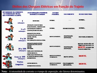 Efeitos dos Choques Elétricos em Função do Trajeto
 