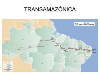 TRANSAMAZÔNICA
 