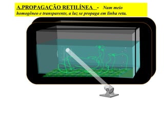 A.PROPAGAÇÃO RETILÍNEA - Num meio
homogêneo e transparente, a luz se propaga em linha reta.
 