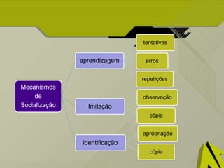 Mecanismos
de
Socialização
aprendizagem
tentativas
erros
repetições
Imitação
observação
cópia
identificação
apropriação
cópia
 