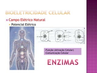  Campo Elétrico Natural
 Potencial Elétrico
-Função (Ativação Celular)
-Comunicação Celular
 