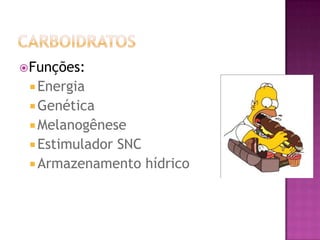 Funções:
 Energia
 Genética
 Melanogênese
 Estimulador SNC
 Armazenamento hídrico
 