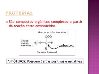  São compostos orgânicos complexos a partir
da reação entre aminoácidos.
ANFÓTEROS: Possuem Cargas positivas e negativas
 