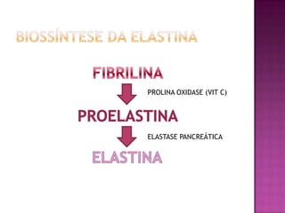 PROLINA OXIDASE (VIT C)
ELASTASE PANCREÁTICA
 