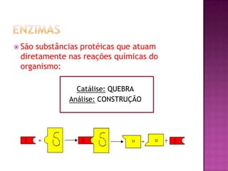  São substâncias protéicas que atuam
diretamente nas reações químicas do
organismo:
Catálise: QUEBRA
Análise: CONSTRUÇÃO
 