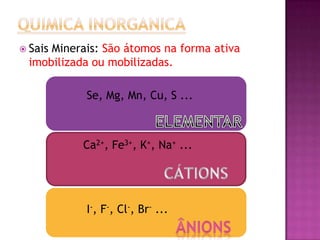  Sais Minerais: São átomos na forma ativa
imobilizada ou mobilizadas.
Se, Mg, Mn, Cu, S ...
Ca2+, Fe3+, K+, Na+ ...
I-, F-, Cl-, Br- ...
 