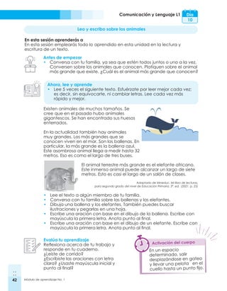 42 Módulo de aprendizaje No. 1
Comunicación y Lenguaje L1
Existen animales de muchos tamaños. Se
cree que en el pasado hubo animales
gigantescos. Se han encontrado sus huesos
enterrados.
En la actualidad también hay animales
muy grandes. Los más grandes que se
conocen viven en el mar. Son las ballenas. En
particular, la más grande es la ballena azul.
Este asombroso animal llega a medir hasta 32
metros. Eso es como el largo de tres buses.
El animal terrestre más grande es el elefante africano.
Este inmenso animal puede alcanzar un largo de siete
metros. Esto es casi el largo de un salón de clases.
Adaptado de Mineduc. Mi libro de lecturas,
para segundo grado del nivel de Educación Primaria. 3ª. ed. (2021. p. 25)
•	 Lee el texto a algún miembro de tu familia.
•	 Conversa con tu familia sobre las ballenas y los elefantes.
•	 Dibuja una ballena y los elefantes. También puedes buscar
ilustraciones y pegarlas en una hoja.
•	 Escribe una oración con base en el dibujo de la ballena. Escribe con
mayúscula la primera letra. Anota punto al final.
•	 Escribe una oración con base en el dibujo de un elefante. Escribe con
mayúscula la primera letra. Anota punto al final.
Día
10
Leo y escribo sobre los animales
En esta sesión aprenderás a
En esta sesión emplearás todo lo aprendido en esta unidad en la lectura y
escritura de un texto.
Antes de empezar
•	 Conversa con tu familia, ya sea que estén todos juntos o uno a la vez.
Conversen sobre los animales que conocen. Platiquen sobre el animal
más grande que existe. ¿Cuál es el animal más grande que conocen?
Ahora, lee y aprende
•	 Lee 5 veces el siguiente texto. Esfuérzate por leer mejor cada vez;
es decir, sin equivocarte, ni cambiar letras. Lee cada vez más
rápido y mejor.
Evalúa tu aprendizaje
Reflexiona acerca de tu trabajo y
responde en tu cuaderno.
¿Leíste de corrido?
¿Escribiste las oraciones con letra
clara? ¿Usaste mayúscula inicial y
punto al final?
En un espacio
determinado, salir
desplazándose en gateo
y llevar una pelota en el
cuello hasta un punto fijo.
Activación del cuerpo
 