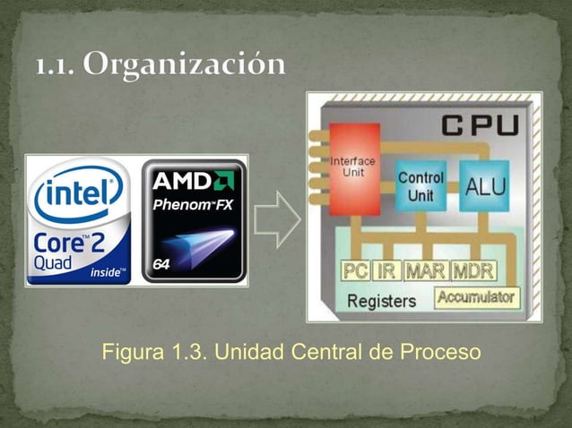 Módulo 1 estructura de la cpu | PPTX