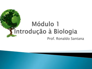 Prof. Ronaldo Santana
 
