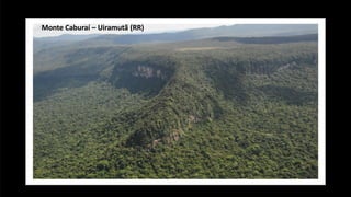 Monte Caburaí – Uiramutã (RR)
 
