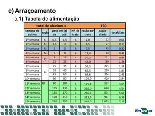 c) Arraçoamento
c.1) Tabela de alimentação
 