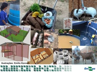 Ilustrações: Emilio Konrath
 