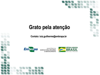Grato pela atenção
Contato: luiz.guilherme@embrapa.br
 