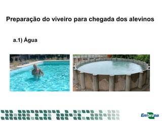 Preparação do viveiro para chegada dos alevinos
a.1) Água
 