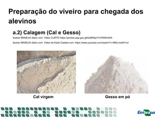 Preparação do viveiro para chegada dos
alevinos
a.2) Calagem (Cal e Gesso)
Ilustrar MANEJO diário com Video CURTO https://photos.app.goo.gl/i4zMh8pr7UVR59mWA
Ilustrar MANEJO diário com Video da Karla Caetano em: https://www.youtube.com/watch?v=965Lmsh81nU
Cal virgem Gesso em pó
 