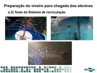 Preparação do viveiro para chegada dos alevinos
a.3) Teste do Sistema de recirculação
 
