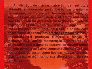 A divisão de terras através da estrutura latifundiária favorecida pela doação das capitanias hereditárias, bem como as chamadas seismarias, ou seja, lotes que variavam de 6 a 24 Km doados pelos capitães donatários para a formação principalmente de engenhos, também sofre abalos. Enquanto os latifúndios povoam o litoral brasileiro, a possibilidade de formação das chamadas  brechas camponesas  não é descartada. Tal produção cumpria a função de minimizar os custos de manutenção e de reprodução de trabalho para o dono do escravo, ao mesmo tempo em que permitia ao cativo comprar suplementos à sua necessidade ou gosto, como bebidas, roupas, sapatos, jóias, tabaco e até mesmo sua alforria ou a de seus familiares.  