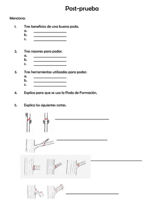 Post-prueba
Menciona:
1. Tres beneficios de una buena poda.
a. ____________________
b. ____________________
c. ____________________
2. Tres razones para podar.
a. ____________________
b. ____________________
c. ____________________
3. Tres herramientas utilizadas para podar.
a. ____________________
b. ____________________
c. ____________________
4. Explica para que se usa la Poda de Formación.
5. Explica los siguientes cortes.
_________________________________
_______________________________
_________________ ________________________________
_____________________________________________
 
