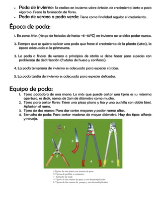  Poda de invierno: Se realiza en invierno sobre árboles de crecimiento lento o poco
vigoroso. Frena la formación de flores.
 Poda de verano o poda verde: Tiene como finalidad regular el crecimiento.
Época de poda:
1. En zonas frías (riesgo de heladas de hasta –8 -10ºC) en invierno no se debe podar nunca.
2. Siempre que se quiera aplicar una poda que frene el crecimiento de la planta (setos), la
época adecuada es la primavera.
3. La poda a finales de verano o principios de otoño se debe hacer para especies con
problemas de cicatrización (frutales de hueso y coníferas).
4. La poda temprana de invierno es adecuada para especies rústicas.
5. La poda tardía de invierno es adecuada para especies delicadas.
Equipo de poda:
1. Tijera podadora de una mano: Lo más que puede cortar una tijera es su máxima
apertura, es decir, ramas de 2cm de diámetro como mucho.
2. Tijera para cortar flores: Tiene una pieza plana y lisa y una cuchilla con doble bisel.
Aplastan el ramo.
3. Tijera de dos manos: Para dar cortes mayores y podar ramas altas.
4. Serrucho de poda: Para cortar maderas de mayor diámetro. Hay dos tipos: alfanje
y navaja.
1-Tijeras de una mano con sistema de paso
2-Tijeras de perfilar o cortasetos
3- Serrucho de poda
4-Tijeras de dos manos de paso y con desmultiplicador
5- Tijeras de dos manos de yunque y con desmultiplicador
 