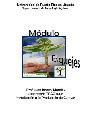 Universidad de Puerto Rico en Utuado
Departamento de Tecnología Agrícola
Prof. Juan Irizarry Morales
Laboratorio TPAG 1006
Introducción a la Producción de Cultivos
 