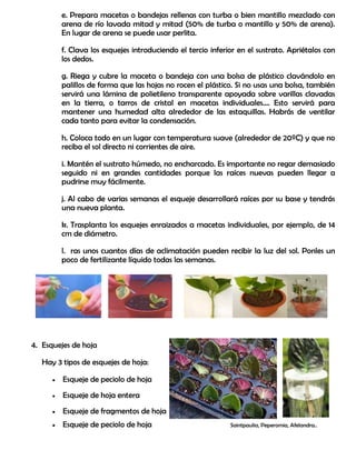 e. Prepara macetas o bandejas rellenas con turba o bien mantillo mezclado con
arena de río lavada mitad y mitad (50% de turba o mantillo y 50% de arena).
En lugar de arena se puede usar perlita.
f. Clava los esquejes introduciendo el tercio inferior en el sustrato. Apriétalos con
los dedos.
g. Riega y cubre la maceta o bandeja con una bolsa de plástico clavándolo en
palillos de forma que las hojas no rocen el plástico. Si no usas una bolsa, también
servirá una lámina de polietileno transparente apoyada sobre varillas clavadas
en la tierra, o tarros de cristal en macetas individuales.... Esto servirá para
mantener una humedad alta alrededor de las estaquillas. Habrás de ventilar
cada tanto para evitar la condensación.
h. Coloca todo en un lugar con temperatura suave (alrededor de 20ºC) y que no
reciba el sol directo ni corrientes de aire.
i. Mantén el sustrato húmedo, no encharcado. Es importante no regar demasiado
seguido ni en grandes cantidades porque las raíces nuevas pueden llegar a
pudrirse muy fácilmente.
j. Al cabo de varias semanas el esqueje desarrollará raíces por su base y tendrás
una nueva planta.
k. Trasplanta los esquejes enraizados a macetas individuales, por ejemplo, de 14
cm de diámetro.
l. ras unos cuantos días de aclimatación pueden recibir la luz del sol. Ponles un
poco de fertilizante líquido todas las semanas.
4. Esquejes de hoja
Hay 3 tipos de esquejes de hoja:
 Esqueje de peciolo de hoja
 Esqueje de hoja entera
 Esqueje de fragmentos de hoja
 Esqueje de peciolo de hoja Saintpaulia, Peperomia, Afelandra..
 
