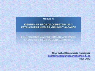 IDENTIFICAR TIPOS DE COMPETENCIAS Y
ESTRUCTURAR NIVELES, GRUPOS Y ALCANCE




                     Olga Isabel Santamaría ...