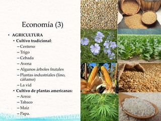 Economía (3)
• AGRICULTURA
• Cultivo tradicional:
– Centeno
– Trigo
– Cebada
– Avena
– Algunos árboles frutales
– Plantas industriales (lino,
cáñamo)
– La vid
• Cultivo de plantas americanas:
– Arroz
– Tabaco
– Maíz
– Papa.
 