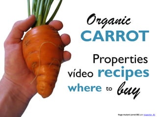 Organic
 CARROT
   Properties
vídeo recipes
       buy
where to

        Huge mutant carrot 001 por inspector_81
 