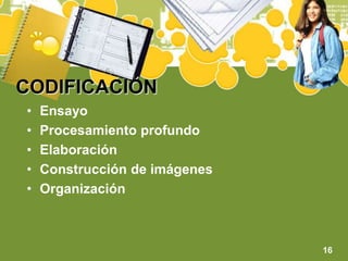 CODIFICACIÓNEnsayoProcesamiento profundoElaboraciónConstrucción de imágenesOrganización16